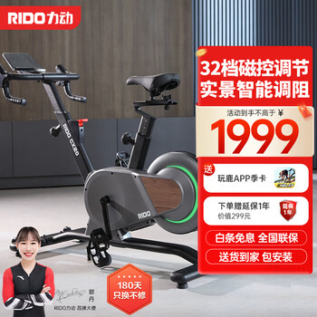 力动（RIDO）动感单车家用健身房级 智能调阻单车室内公路车自行车zwift骑行台 CX20（多档电磁操控）
