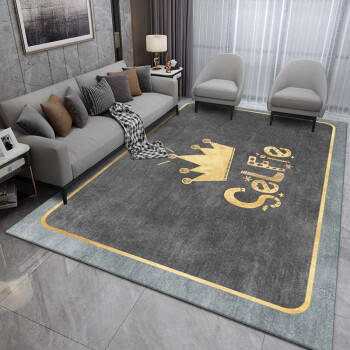 VIERUODIS沙发边地毯客厅地毯茶几毯北欧轻奢现代简约大面积耐脏房间卧室 BO-499 60x120cm