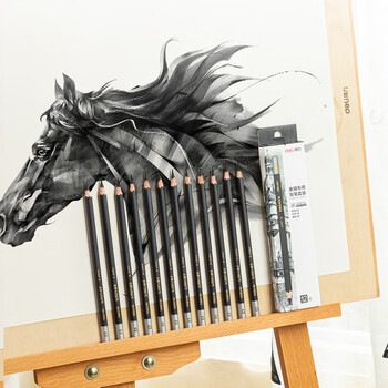 得力(deli)素描炭笔初学者碳笔软中硬三种硬度绘画美术生专用12支/盒S997A涂鸦划线热门商品 得力(deli)素描炭笔初学者碳笔软中硬三种硬度绘画美术生专用12支/盒S997A涂鸦划线热门商品