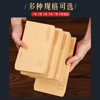 金蝶（kingdee）50张 2号牛皮纸信封 176*109mm现金信封发票工资袋信封袋  BCBQ12-2号