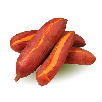 nessa正宗六鳌蜜薯红薯现挖沙地红薯香甜软糯大果红薯中小果253斤