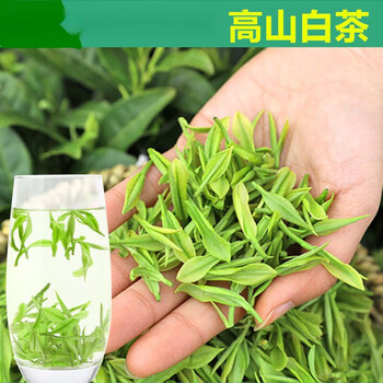 恒愎吉匠珍稀高山白茶2023新茶叶上市春茶绿茶明前茶叶散装嫩芽白茶
