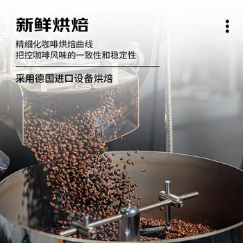 甪家嘴鹿家嘴哥斯达黎加塔拉珠SHB精品意式咖啡豆美式中深烘200g