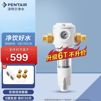 滨特尔（pentair） 前置过滤器B140大通量家用全屋自来水管道40μm过滤器虹吸正反冲洗双面刮洗净水器 B140-B1104全屋前置过滤器