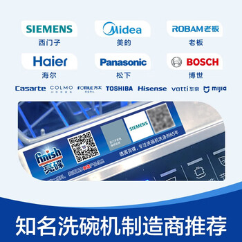 亮碟洗碗机用机体清洁剂去油污除水垢深层清洁养护250ml*2瓶