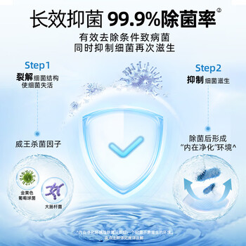威王除重垢洁厕灵500g*2瓶 卫生间浴室厕所马桶清洁剂洁厕剂洁厕液
