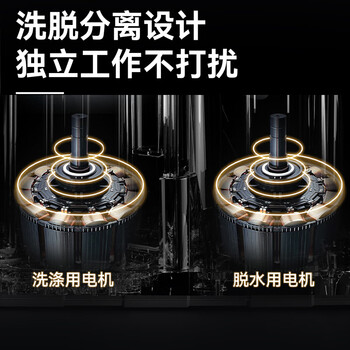 荣事达（Royalstar）洗衣机 12公斤双筒家用双缸半自动双桶洗衣机大容量甩干机  RP12030J