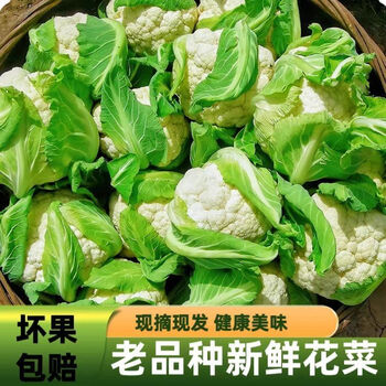 喵生鲜白菜花品牌及商品- 京东