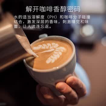 爱惠浦（Everpure）厨房餐饮自来水过滤器 饮料茶饮现调  0耗电0废水 直饮净水器Coldrink1-MC2