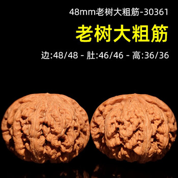 大粗筋狮子头 42尺 大粗筋狮子头价格报价行情- 京东