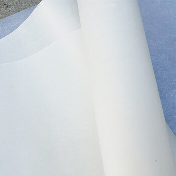 芬尚 檀皮水墨长卷书画纸 毛笔书法绘画作品参展送礼用白色生宣纸加厚宣纸 0.5*20米