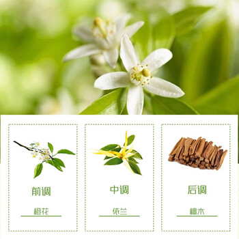 妙洁 家庭必备 安全抑菌7片替换装配方新升级一次性马桶刷替换头7个