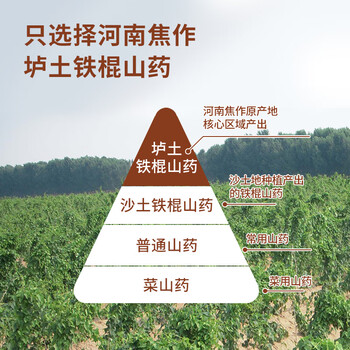 怀生堂铁棍山药粉代餐粉 垆土怀山铁棍山药熟粉易冲泡288g袋装