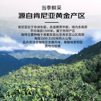 甪家嘴鹿家嘴小番茄肯尼亚AA精品手冲阿拉比卡浅烘精品咖啡豆200g