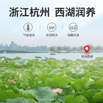 丙田 古法纯藕粉600g 正宗老牌子西湖无添加蔗糖莲藕粉孕产妇儿童术后