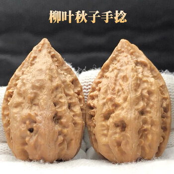 【東京文玩育成】文玩核桃 原樹吸血鬼官帽 32x31x43mm 核桃树文玩核桃-核桃树文玩核桃促销价格、核桃树文玩核桃品牌- 淘宝