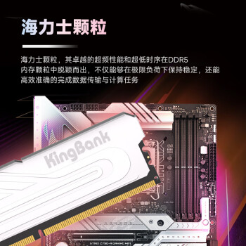 金百达（KINGBANK）64GB(32GBX2)套装 DDR5 6000 台式机内存条海力士M-die颗粒 银爵 C36 适配黑神话悟空