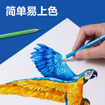 得力（deli）24色铁盒装水溶性彩铅(24支/盒)美术专业手绘涂色绘画HM451-24女孩儿童彩笔