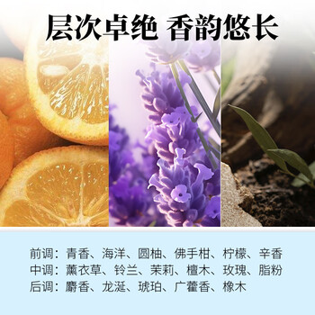MISFIT超大除味香薰 400ml*2瓶青苍杀菌空气清新剂室内香氛厕所除臭神器 MISFIT超大除味香薰 400ml*2瓶青苍杀菌空气清新剂室内香氛厕所除臭神器