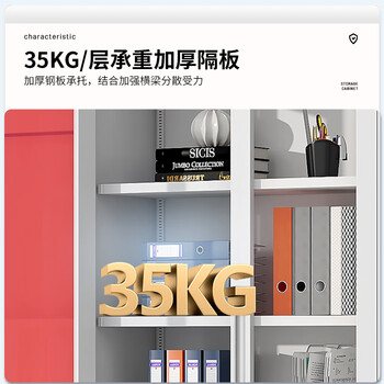 中伟（ZHONGWEI）文件柜办公钢制铁皮柜资料档案柜储物拆装柜通五节纯白加厚款