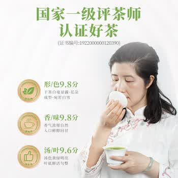 臻尖茉莉花茶浓香型特级200g罐装花茶新茶四川茉莉飘雪茶叶自己喝