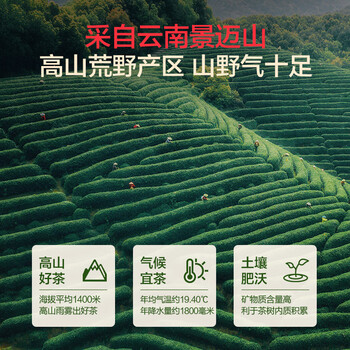 1号会员店云南景迈山荒野滇红茶 300g礼盒 古树甜香送礼首选