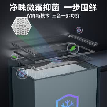 星星（XINGX）200L单温家用冰柜 大容量减霜保鲜净味节能一级能效冰箱 冷藏冷冻两用冷柜 BD/BC-200KE 