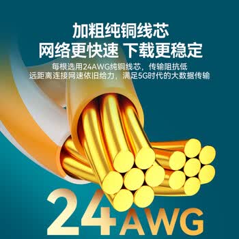 山泽八类网线游戏电竞级万兆网络线 CAT8类纯铜双屏蔽8芯双绞线家用电脑宽带成品跳线兼容千兆黑色15米