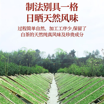 传奇会茶叶福鼎白茶白毫银针老白茶茶饼350g自己喝送礼