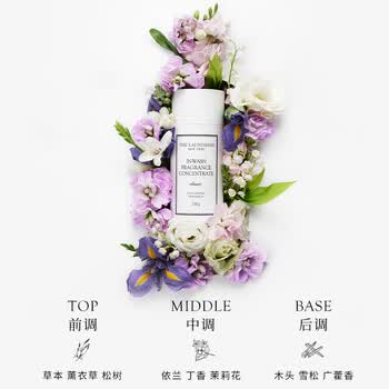 The Laundress经典香氛留香珠200G 持久留香衣物奢级精油香水 专业织物护理 The Laundress经典香氛留香珠200G 持久留香衣物奢级精油香水 专业织物护理