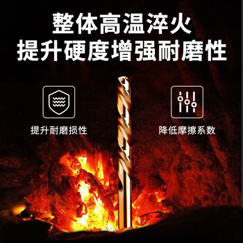 德力西电气（DELIXI ELECTRIC）高硬度麻花钻头不锈钢合金钢铁高速钢打孔DLX-042【3.0mm】