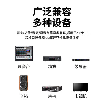 臻威（ZHENWEI）双6.5转双莲花音频线 大二芯6.35mm公转2RCA红白公头功放调音台转音响插头转换线-2M