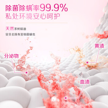 立白大师香氛女士专护内衣洗衣皂102g*2块  高效去血渍 肥皂