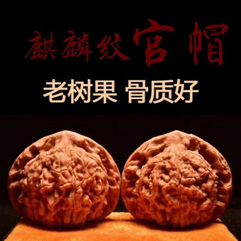 【東京文玩育成】文玩核桃 原樹吸血鬼官帽 32x31x43mm TB2uC9TlH1YBuNjSszeXXablFXa_!!