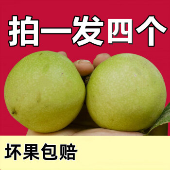 四棱核桃文玩价格报价行情- 京东