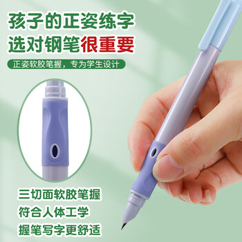永生正姿钢笔正握笔姿势小学三年级专用初学者练字暗尖可换墨囊礼物  3413马卡龙色12支盒装