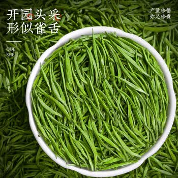 匠界茶叶雀舌春茶绿茶嫩芽正宗明前贵州湄潭雀舌70g中秋节送礼