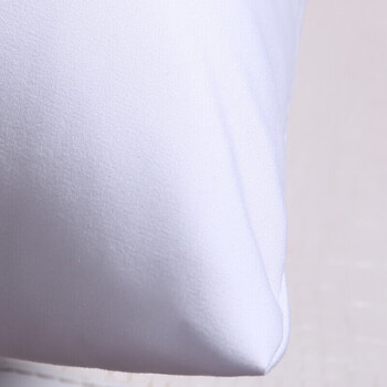 艾薇抱枕家纺 高弹沙发抱枕芯 汽车方垫芯 办公室靠垫芯60*60cm单只装 艾薇抱枕家纺 高弹沙发抱枕芯 汽车方垫芯 办公室靠垫芯60*60cm单只装