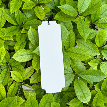 一海堂 文化漆包书签 书法创意双面空白半生熟宣纸学生儿童手作毕业礼物diy书签--幸运形B款10张+5色漂漆工具