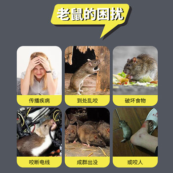 地依猫粘鼠板超强威力大号加厚灭鼠商家用黏鼠贴抓捉捕老鼠粘鼠板10片