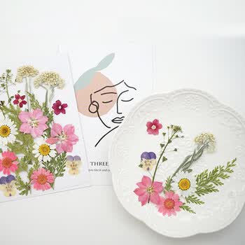 佳茉【热门商品】透明干花书签手工diy材料标本pvc塑封膜创意植物树叶压花瓣瓶26朵收集夏天