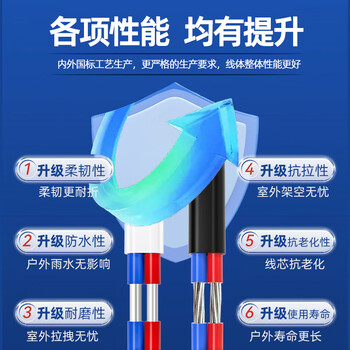 鲁诚讯 ZCBLVVB2*6铝芯电线6平方户外2芯铝线电缆线100米
