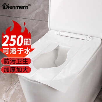 Dienmern一次性马桶垫250个装 马桶坐便套马桶纸垫纸可溶坐厕纸纸产妇旅行