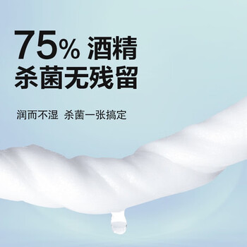 娇点 湿巾(75%酒精)桶装100抽*2桶 家庭家务家具桌面 大包装 JD0922J