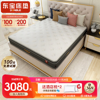东宝床垫(DONBLE) 弹簧床垫 硬床垫 呵护脊椎 环保床垫子1.8米1.2m G05 护脊弹簧床垫-厚度25cm 1500*1900