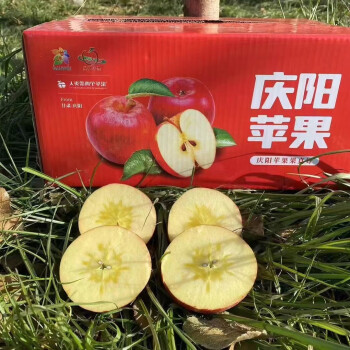 人类第四个苹果红富士果园新鲜采摘产地直发优质农产品 24枚富士彩箱装 宁县苹果 人类第四个苹果