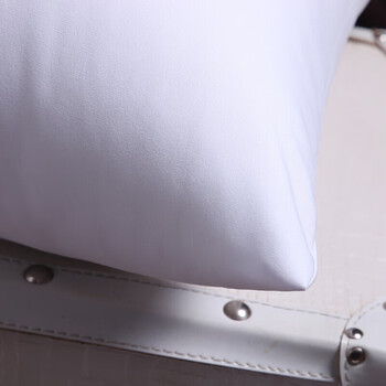 艾薇抱枕家纺 高弹沙发抱枕芯 汽车方垫芯 办公室靠垫芯45*45cm单只装 艾薇抱枕家纺 高弹沙发抱枕芯 汽车方垫芯 办公室靠垫芯45*45cm单只装