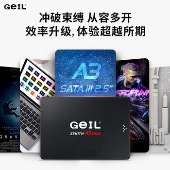 GEIL金邦 2TB SSD固态硬盘 SATA3.0接口 台式机笔记本通用 高速550MB/S A3系列 电脑升级核心组件 GEIL金邦 2TB SSD固态硬盘 SATA3.0接口 台式机笔记本通用 高速550MB/S A3系列 电脑升级核心组件