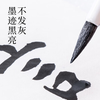 得力（deli）一得阁联名墨汁 初学者练习毛笔字墨水墨汁书法专用国画书画练习 墨云练习墨汁250g开学用品