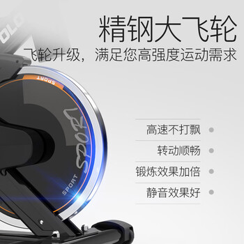 YACONSTAR石柱百娇 动感单车运动器材室内静音健身车室内       减震款黑色